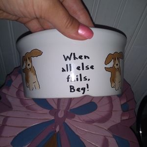 Pet dog bowl